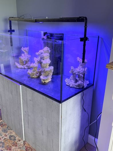 Fish tank