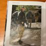 Military book: 'Special Forces In Action' Image 7