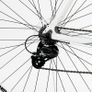 56cm Viking Palermo 16 Speed STI 700c Wheel Gents, White Image 7