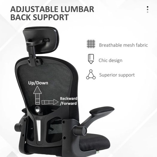 Office Chair Multi Adjustable with Lumbar Support, Headrest