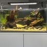 54l aquarium setup - custom build Image 2