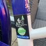 E-Bike Image 10