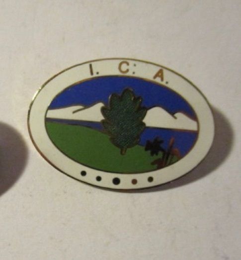 ICA Badge Pin