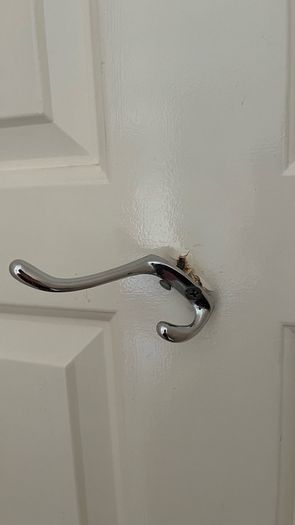 Timber white door