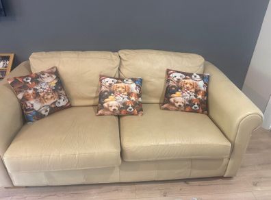 2 seater & 3 seater sofa bed  leather couch