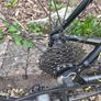 Road Bike Image 3