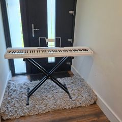 Piano/Keyboard