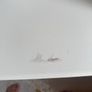 Chest of 6 drawers Image 2
