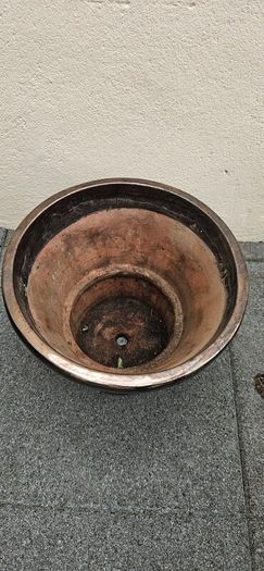 ceramic pot