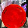 Skylander Enigma Image 7