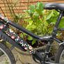 Bicycle Image 2