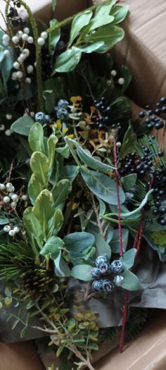 Neptune Poppy Sturley Alpine Wreath.