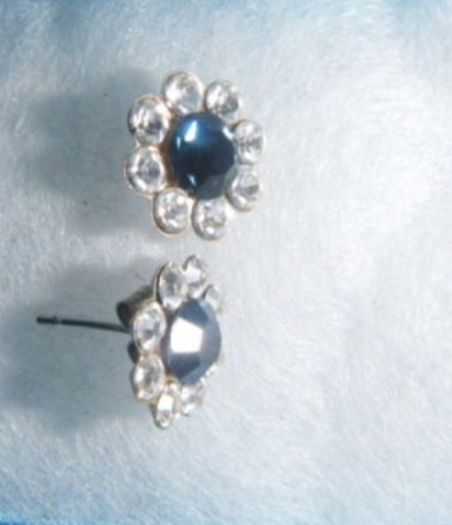 Blue Stone  Earrings