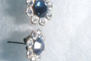 Blue Stone  Earrings