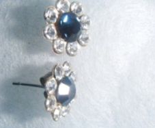 Blue Stone  Earrings