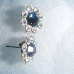 Blue Stone  Earrings