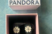 Pandora earrings