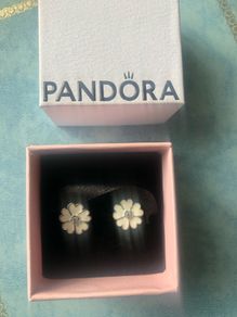 Pandora earrings