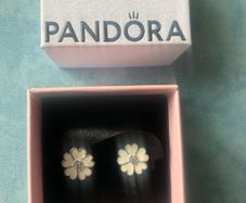 Pandora earrings
