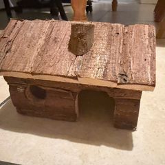 hamster house