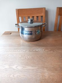 Stellar Stainless Steel Pot