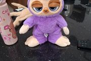 teddy