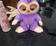teddy