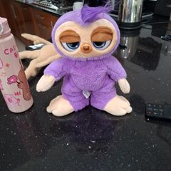 teddy
