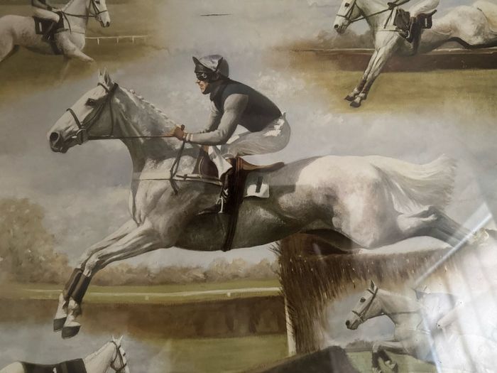 Des Snee Signed Limited Edition Print - "White Tornado" (Desert Orchid, 1989) - 73 x 65 cm
