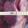 Willow Wicker Shopping Basket Oval Shopper Cotton lining Image 8