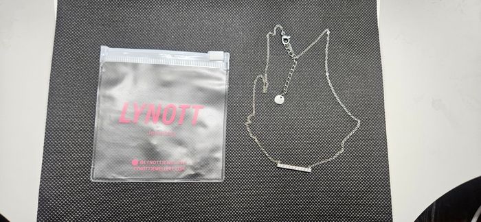 Lynott Linear Luxe Necklace