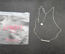 Lynott Linear Luxe Necklace