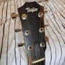 Taylor 210 CE Plus Image 4