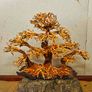 Bonsai Tree Large Image 2