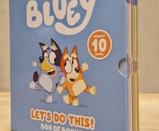 Bluey box of books