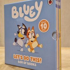 Bluey box of books