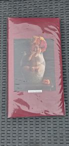 New Anne Gerdes Flip A photo Album