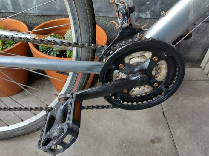 Apollo bike