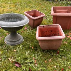 Selection of plastic garden pots