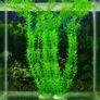Aquarium decoration Image 4