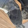 motorcycle suit leather in good condition. Size uk 46 Image 9