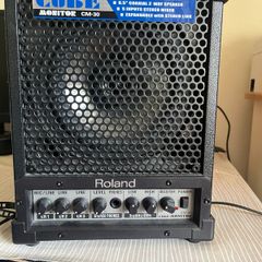 Roland CM-30 CUBE Monitor