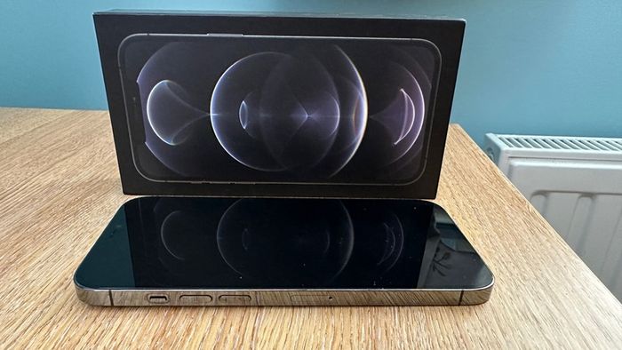 iPhone 12 Pro Max