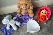 Cozy Dozy Koala, Babypaws Labradoodle and Babycorn Surprise
