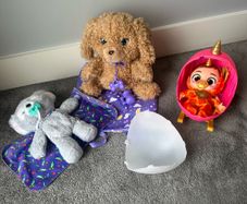 Cozy Dozy Koala, Babypaws Labradoodle and Babycorn Surprise