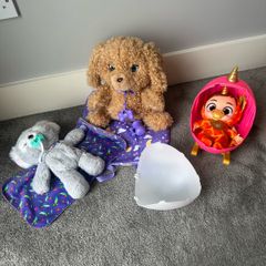 Cozy Dozy Koala, Babypaws Labradoodle and Babycorn Surprise
