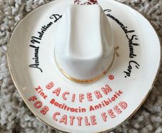 Vintage Medicine Hat Ashtray