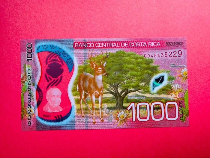 Costa Rica  1,000 Colones 2019 Pick 280a. Polymer /plastic  ( Uncirculated )