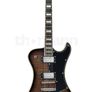 Guitar Bundle for Xmas 3. Image 2