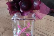 EMPTY Decorative Vera Wang Perfume Bottle